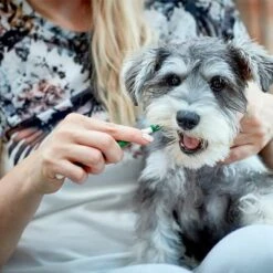 Vet's Best® Tandverzorging Set Voor Honden -Hunter Verkoop 2024 v317310 vetsbest dentalcare kit hs 09 3