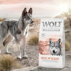 Wolf Of Wilderness Adult 'Great Desert' Hondenvoer - Kalkoen -Hunter Verkoop 2024 wow classic greatdesert 12kg 4