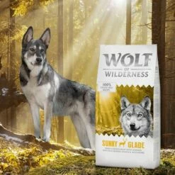 Wolf Of Wilderness "Sunny Glade" - Wild Hondenvoer -Hunter Verkoop 2024 wow classic sunnyglade 12kg 6
