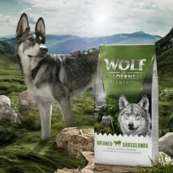 Wolf Of Wilderness Untamed Grasslands Paard Hondenvoer 14 Wolf Of Wilderness Untamed Grasslands Paard Hondenvoer -Hunter Verkoop 2024 wow elements untamedgraslands 12kg 0
