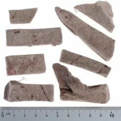 Wolf Of Wilderness - Gevriesdroogde Premium-Snacks -Hunter Verkoop 2024 wow fd snack high valley liverwithruler 2