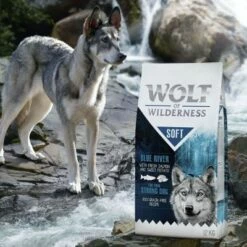 Wolf Of Wilderness 'Soft - Blue River' - Zalm Hondenvoer -Hunter Verkoop 2024 wow soft blueriver 12kg 6 1