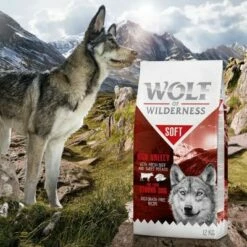 Wolf Of Wilderness Adult "Soft & Strong - High Valley" - Rund Hondenvoer -Hunter Verkoop 2024 wow soft highvalley 12kg 4 5