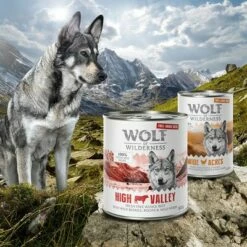 Voordeelpakket 12 X 800 G Wolf Of Wilderness Scharrelvlees Hondenvoer 17 Voordeelpakket 12 X 800 G Wolf Of Wilderness Scharrelvlees Hondenvoer -Hunter Verkoop 2024 zop 21 048 wow nafu 800g 400g 1000x1000 2 9 1