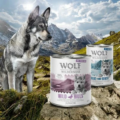 Wolf Of Wilderness Junior "Scharrelvlees" 6 X 800 G Hondenvoer - Afbeelding 3